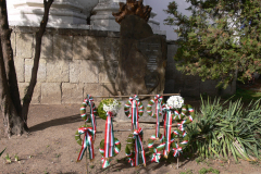 P1000053