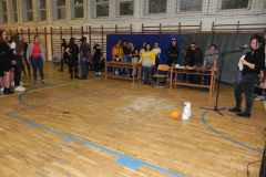 4_tokbowling10