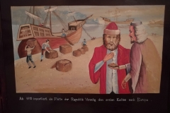 mde
