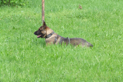 DSCF9688