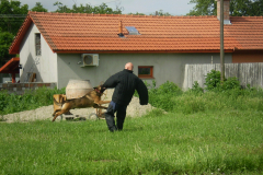 P1010021