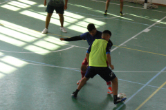 foci-010