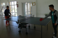 ping-pong-003