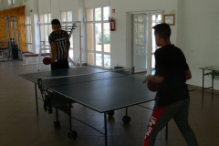 ping-pong-006