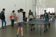 ping-pong-010